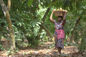 Bäuerin auf Kakao-Farm in Ghana