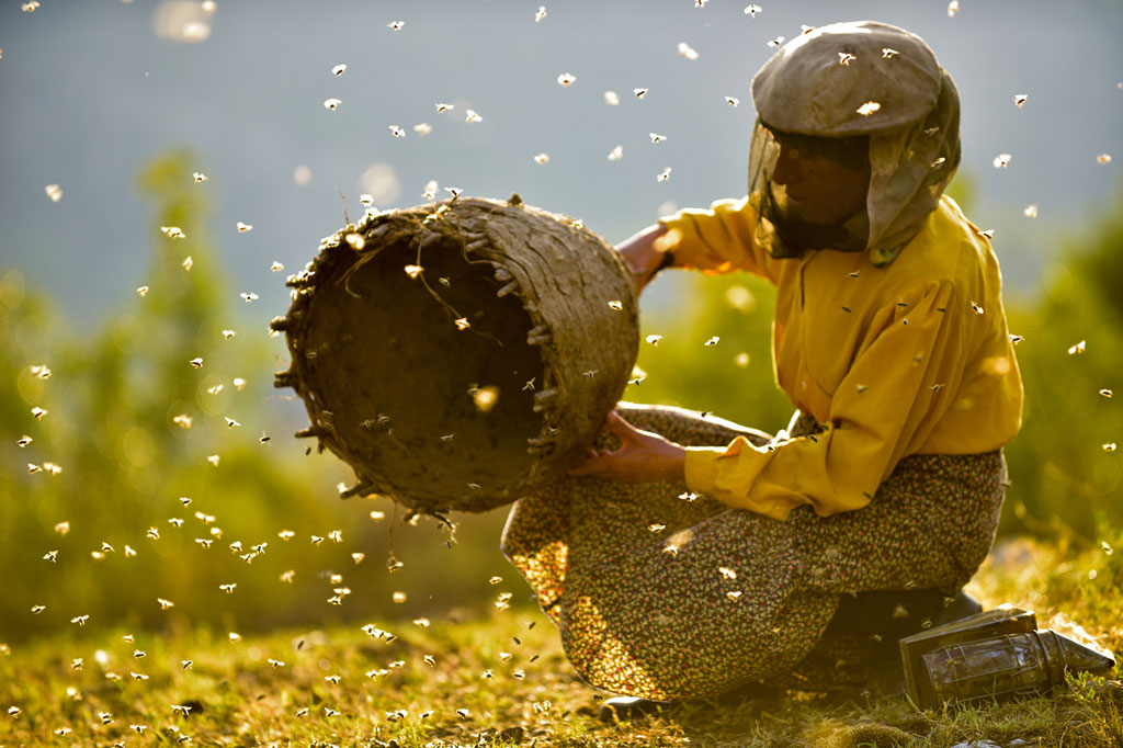 Dokumentarfilm 'Land des Honigs', Bild 1 (Imkerin mit Bienenkorb)