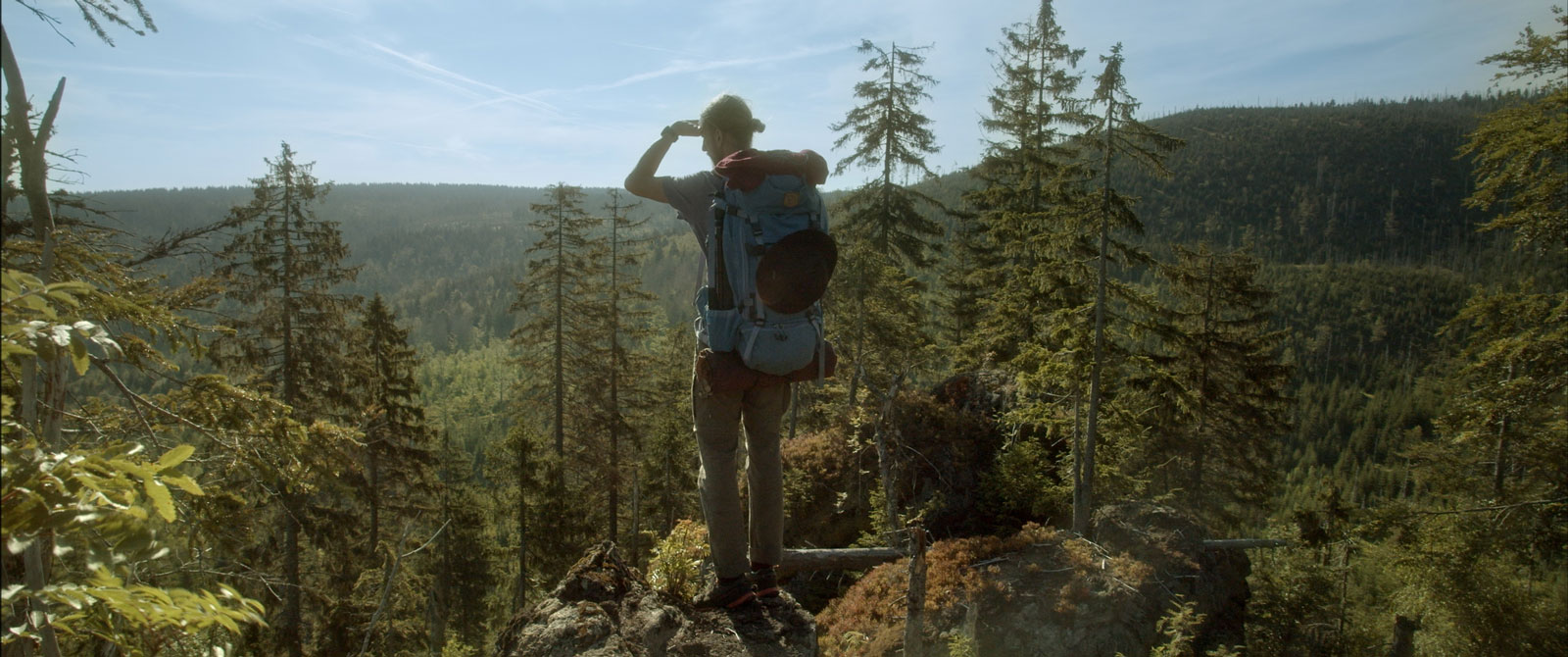 Dokumentarfilm 'Der Wilde Wald' - Filmstill: Wanderer mit Ausblick