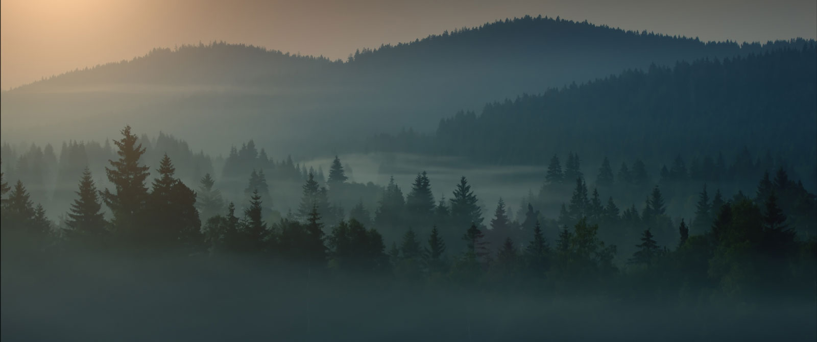 Dokumentarfilm 'Der Wilde Wald' - Filmstill: Bewaldete Huegel