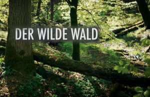 Dokumentarfilm 'Der Wilde Wald' - Titelbild